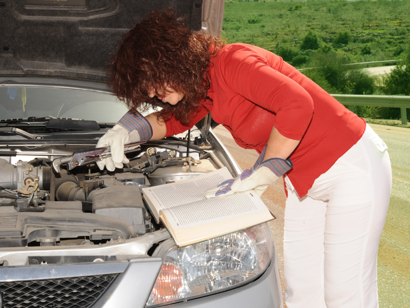 Mauris Accumsan Nulla Ve